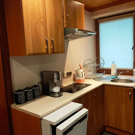 Apartament Owieczka 公寓 *